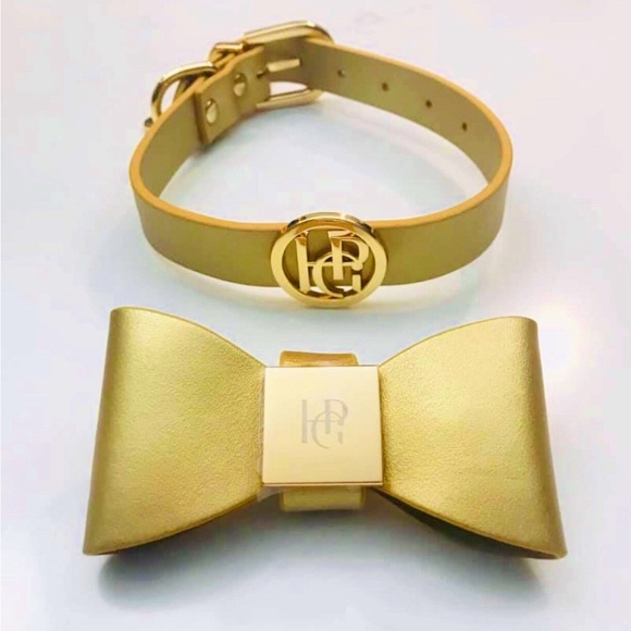 Gold Leather Dog Collar | Gold Hardware and Removable Bow | Small - Picture 2 of 15